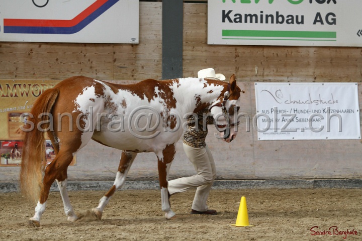23-APHA SS_022.jpg